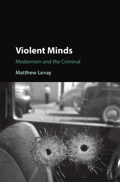 bokomslag Violent Minds