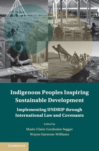 bokomslag Indigenous Peoples Inspiring Sustainable Development