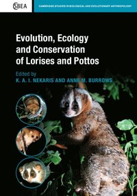 bokomslag Evolution, Ecology and Conservation of Lorises and Pottos