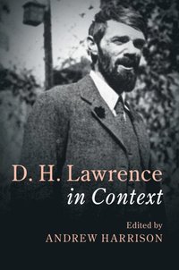 bokomslag D. H. Lawrence In Context