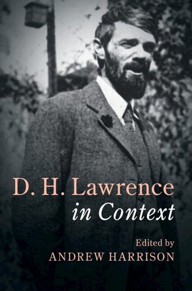 Andrew Harrison - D. H. Lawrence In Context, Inbunden