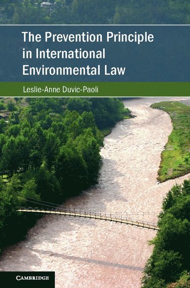 bokomslag Prevention Principle in International Environmental Law