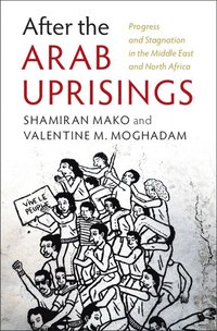 bokomslag After the Arab Uprisings