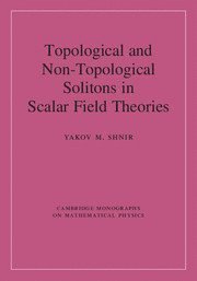 bokomslag Topological and Non-Topological Solitons in Scalar Field Theories