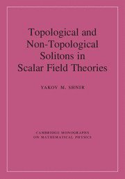 bokomslag Topological and Non-Topological Solitons in Scalar Field Theories