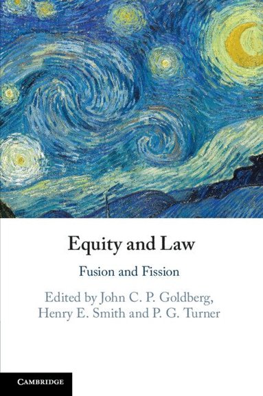 John C. P. Goldberg, Henry E. Smith, P. G. Turner - Equity and Law, Häftad