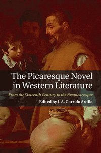 bokomslag The Picaresque Novel in Western Literature