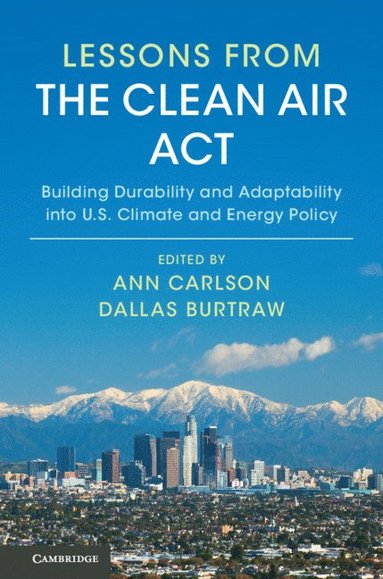 bokomslag Lessons from the Clean Air Act