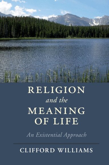 Clifford Williams - Religion and the Meaning of Life, Häftad