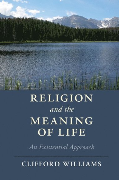 bokomslag Religion and the Meaning of Life