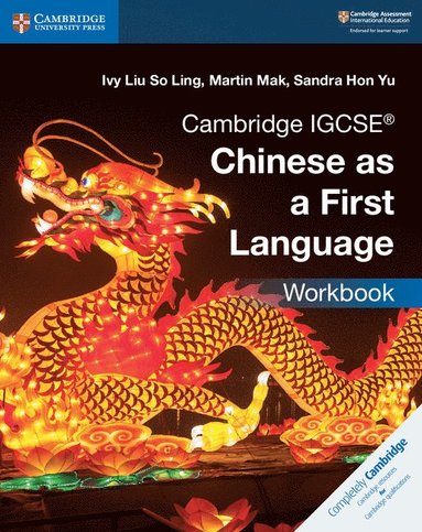 bokomslag Cambridge IGCSE¿ Chinese as a First Language Workbook