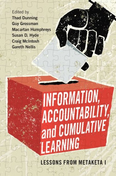 bokomslag Information, Accountability, and Cumulative Learning
