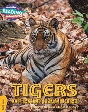 bokomslag Cambridge Reading Adventures Tigers of Ranthambore Gold Band