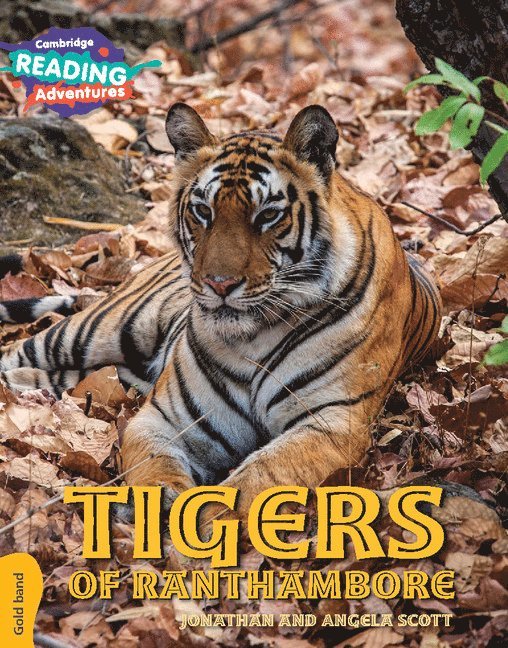 Cambridge Reading Adventures Tigers of Ranthambore Gold Band 1