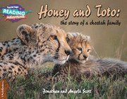 bokomslag Cambridge Reading Adventures Honey and Toto: The Story of a Cheetah Family 1 Pathfinders
