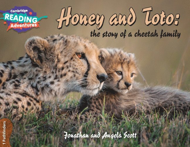 Cambridge Reading Adventures Honey and Toto: The Story of a Cheetah Family 1 Pathfinders 1