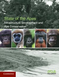 bokomslag Infrastructure Development and Ape Conservation