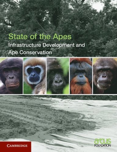 bokomslag Infrastructure Development and Ape Conservation