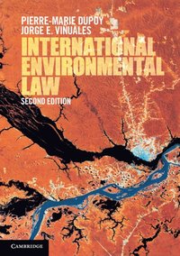 bokomslag International Environmental Law