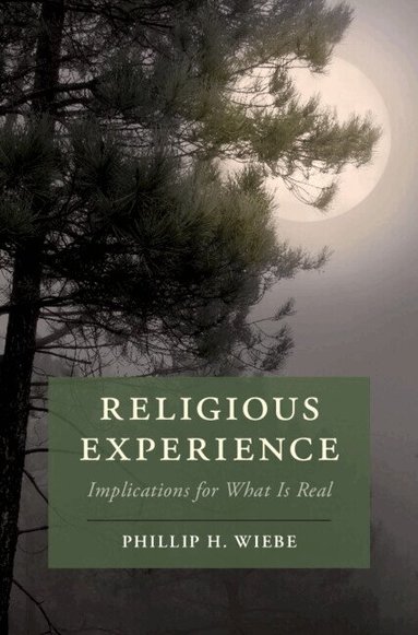 Phillip H. Wiebe - Religious Experience, Häftad