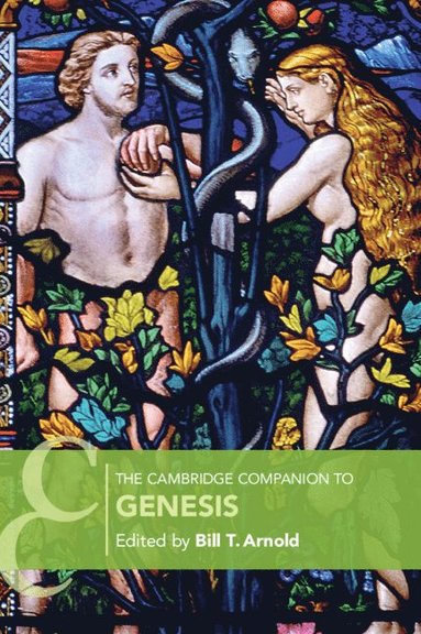 bokomslag Cambridge Companion to Genesis