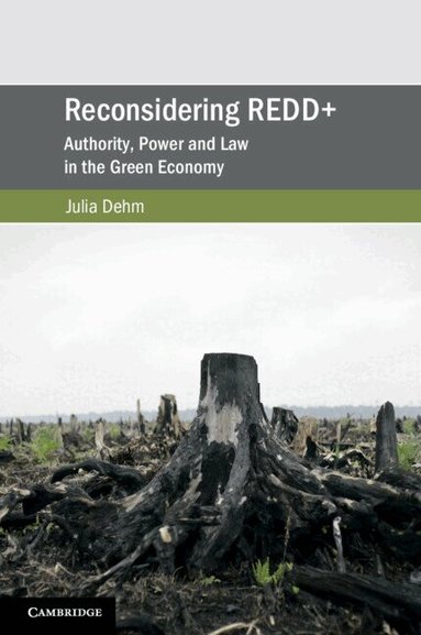 Julia Dehm - Reconsidering REDD+, Häftad
