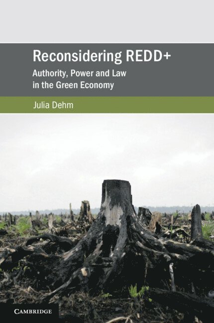 Reconsidering REDD+