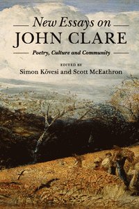 bokomslag New Essays on John Clare