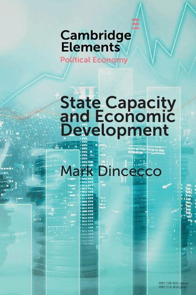 Mark Dincecco - State Capacity and Economic Development, Häftad