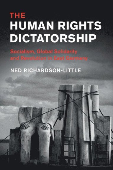 bokomslag Human Rights Dictatorship