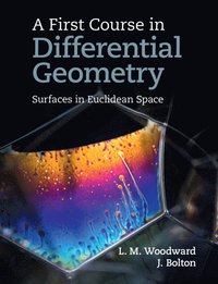 bokomslag A First Course in Differential Geometry