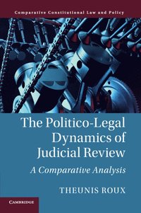 bokomslag The Politico-Legal Dynamics of Judicial Review
