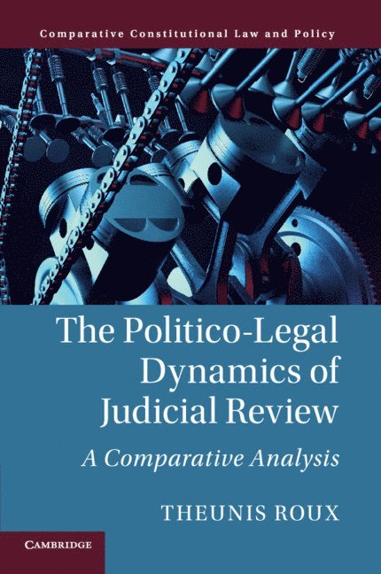 The Politico-Legal Dynamics of Judicial Review 1