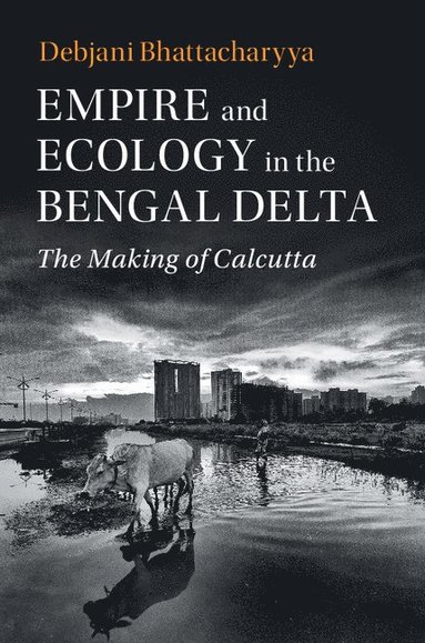 bokomslag Empire and Ecology in the Bengal Delta