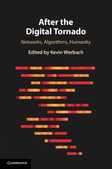 Kevin Werbach - After the Digital Tornado, Häftad