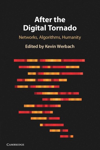 bokomslag After the Digital Tornado