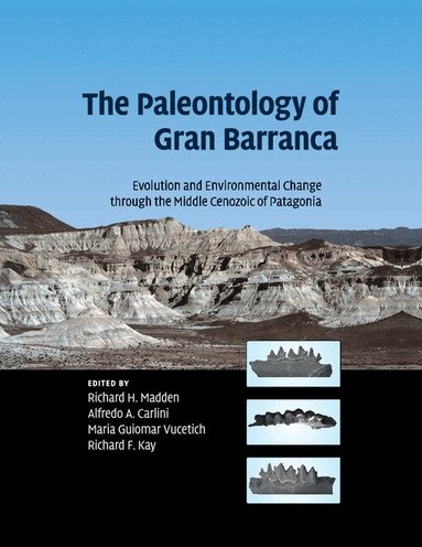 Richard H. Madden, Alfredo A. Carlini, Maria Guiomar Vucetich, Richard F. Kay - The Paleontology of Gran Barranca, Häftad