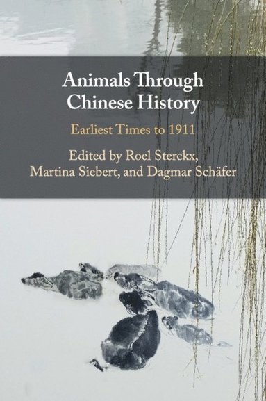 bokomslag Animals through Chinese History