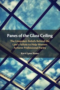 bokomslag Panes of the Glass Ceiling