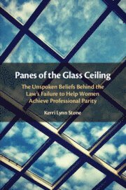 bokomslag Panes of the Glass Ceiling