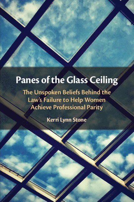 Panes of the Glass Ceiling 1