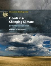 bokomslag Floods in a Changing Climate