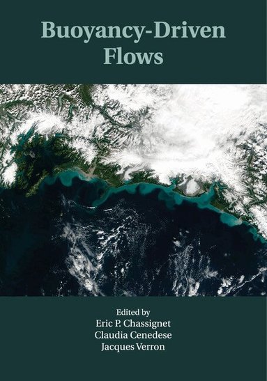 Eric P. Chassignet, Claudia Cenedese, Jacques Verron - Buoyancy-Driven Flows, Häftad
