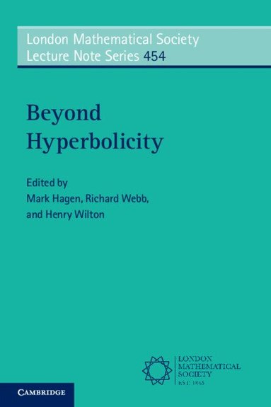 Mark Hagen, Richard Webb, Henry Wilton - Beyond Hyperbolicity, Häftad