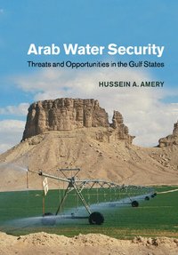 bokomslag Arab Water Security