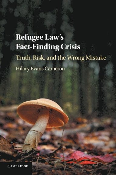 bokomslag Refugee Law's Fact-Finding Crisis