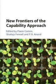 bokomslag New Frontiers of the Capability Approach