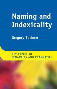 bokomslag Naming and Indexicality