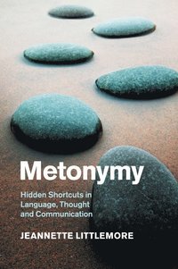 bokomslag Metonymy: Hidden Shortcuts in Language, Thought and Communication