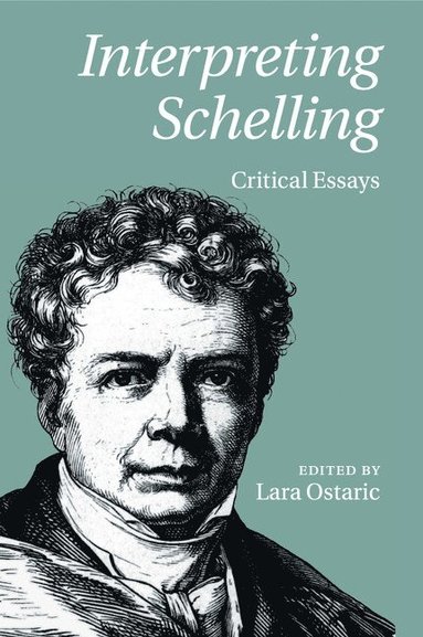 bokomslag Interpreting Schelling